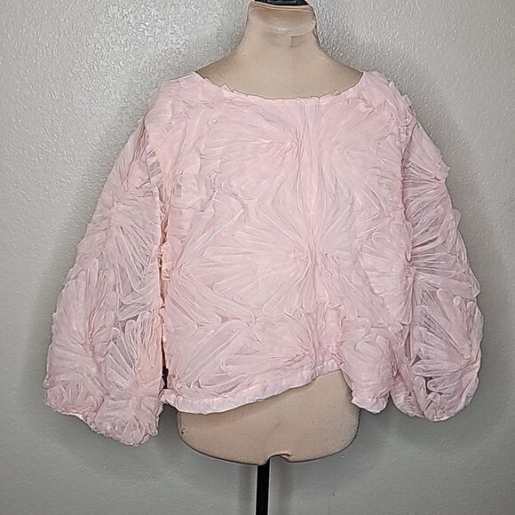 Eloquii Tops - Eloquii 24 Blush Pink Sheer Chiffon party top